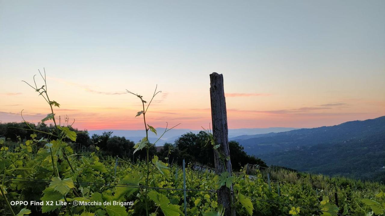 Agriturismo Macchia dei briganti - b&b Montefalcione Bagian luar foto