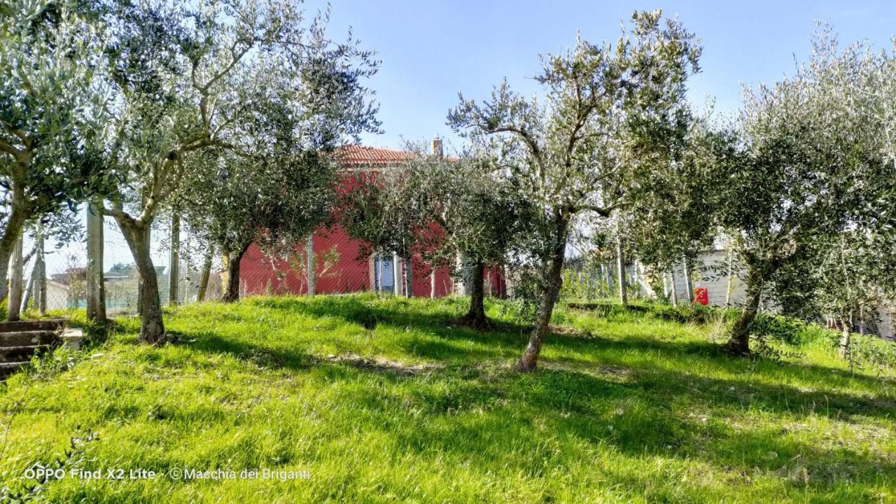 Agriturismo Macchia dei briganti - b&b Montefalcione Bagian luar foto