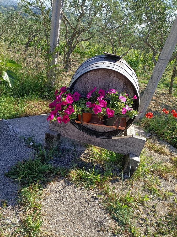 Agriturismo Macchia dei briganti - b&b Montefalcione Bagian luar foto