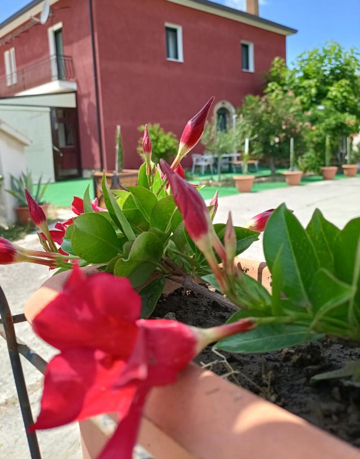 Agriturismo Macchia dei briganti - b&b Montefalcione Bagian luar foto